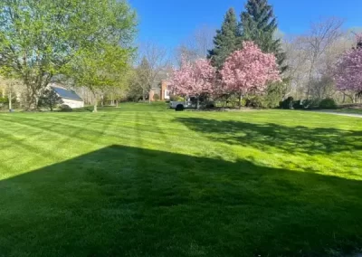 Best Landscaping Company