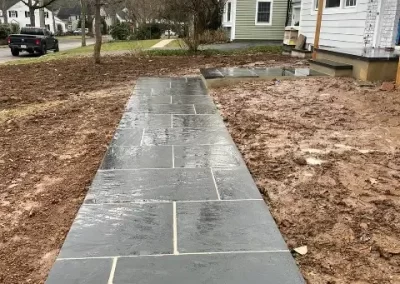 Professional Landscape Services