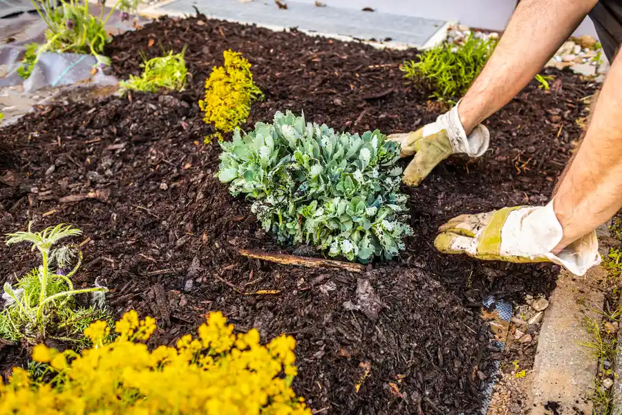 Affordable Mulching Plainfield, NJ