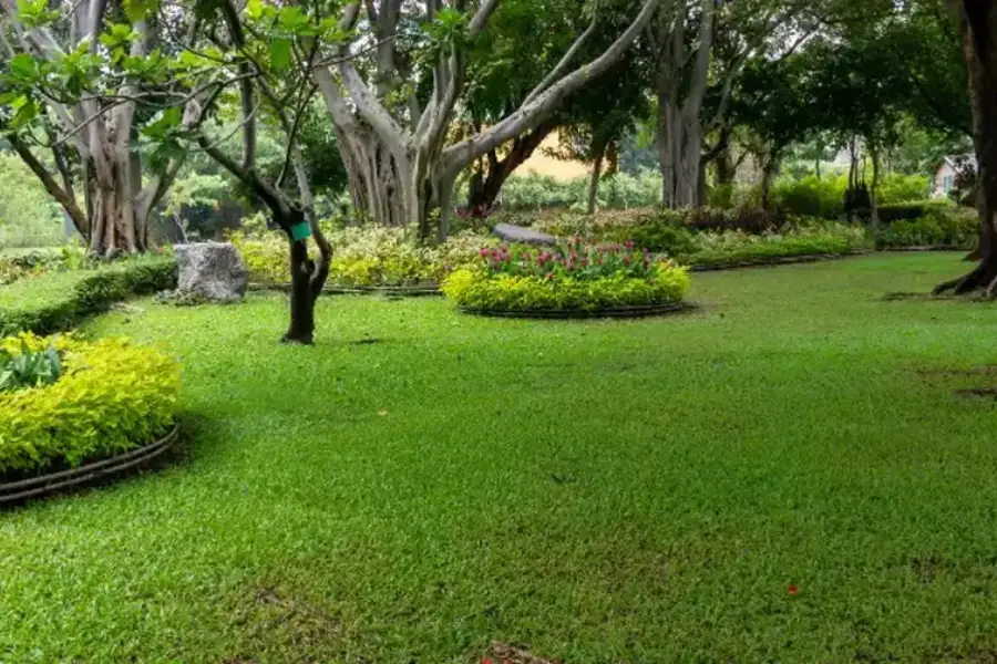 How Lawn Maintenance Prevents Weed Growth And Soil Erosion Plainfield, NJ