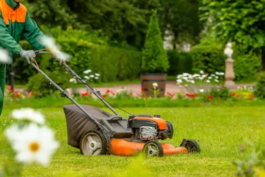 Local Lawn Maintenance Plainfield, NJ