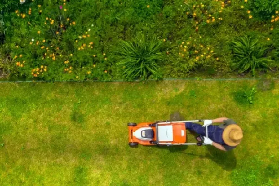 Reputable Lawn Maintenance Plainfield, NJ