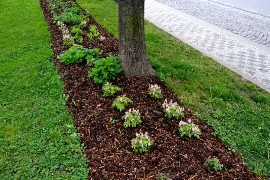 Superior Mulching Plainfield, NJ