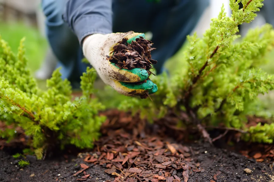 The Benefits Of Mulching For Slope And Erosion Control in Plainfield, NJ