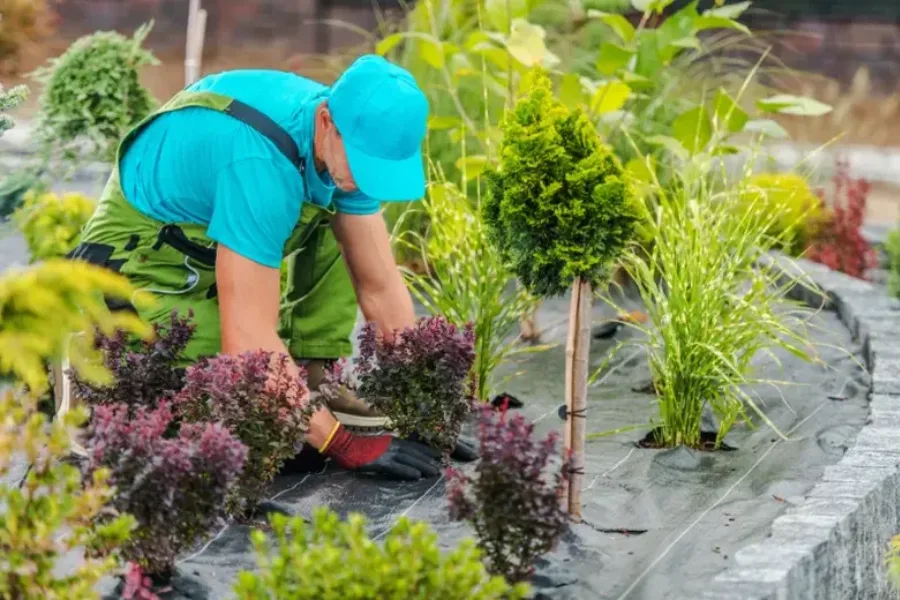 Top-rated Lawn Maintenance Plainfield, NJ