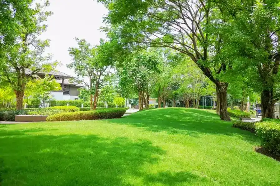 Understanding The Role Of Fertilization In Lawn Maintenance Plainfield, NJ Understanding The Role Of Fertilization In Lawn Maintenance Plainfield, NJ