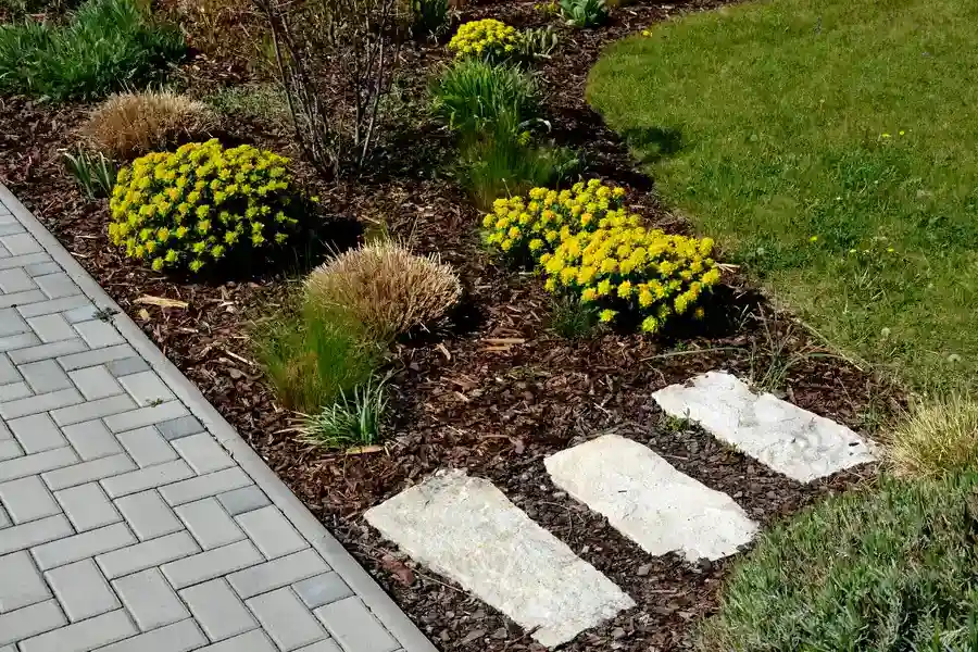 Understanding The Role Of Mulching In Soil Health Plainfield, NJ